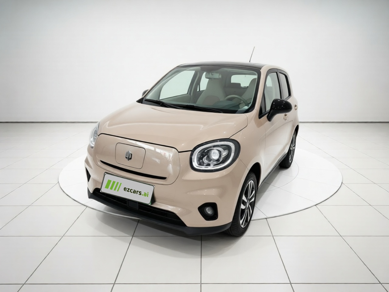 Leapmotor T03 2023 310
