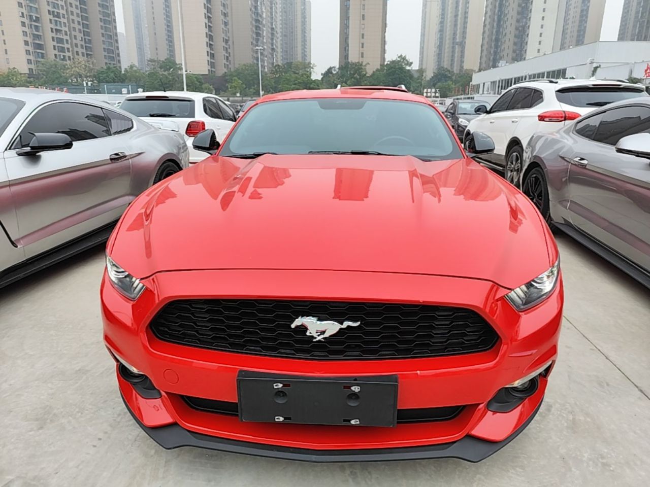 Mustang 2017 2.3T Performance photo 2