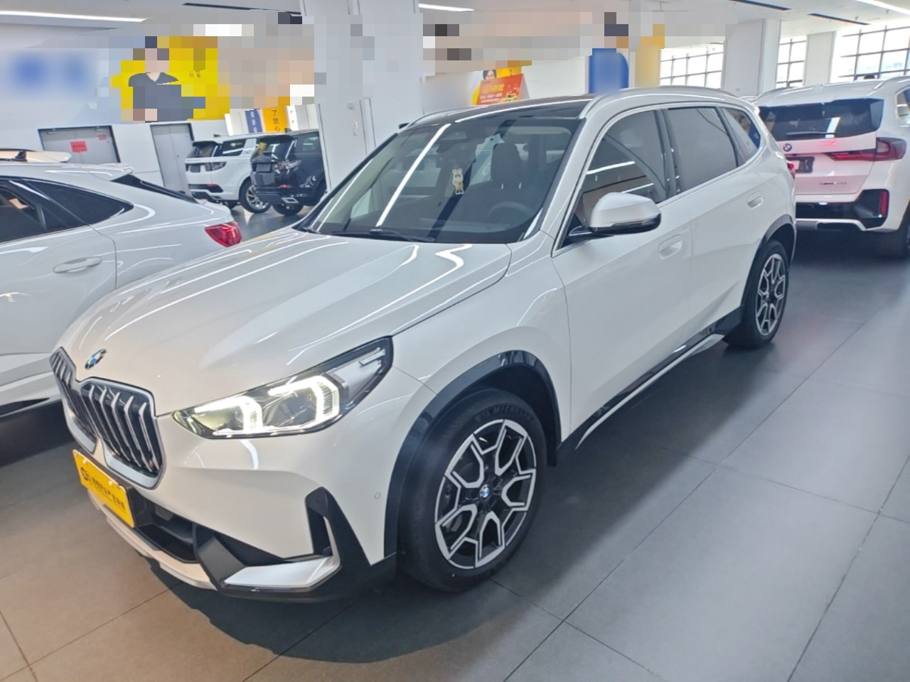X1 2024 sDrive25Li X Design Package