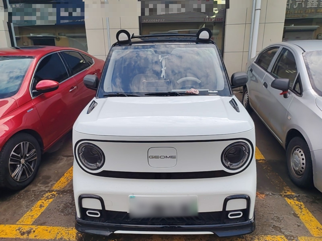 2024 200km Panda photo 2