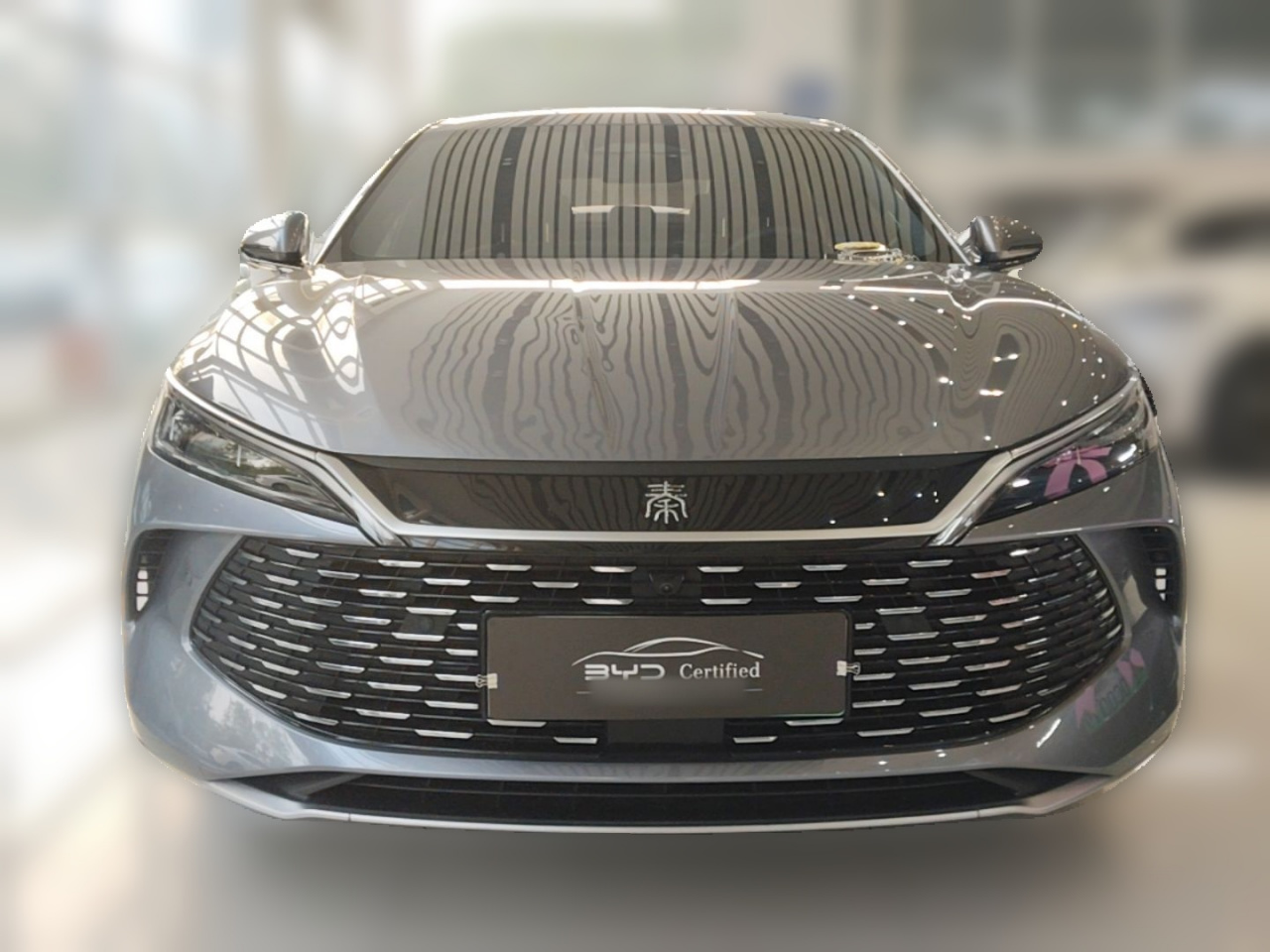 Qin L 2025 DM-i ADAS 120KM Excellence photo 2