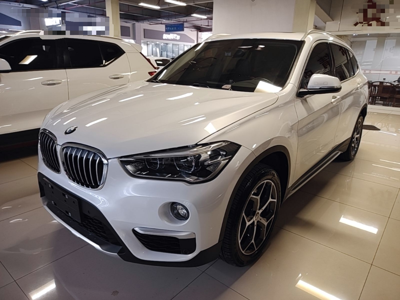 X1 2019 xDrive20Li Exclusive