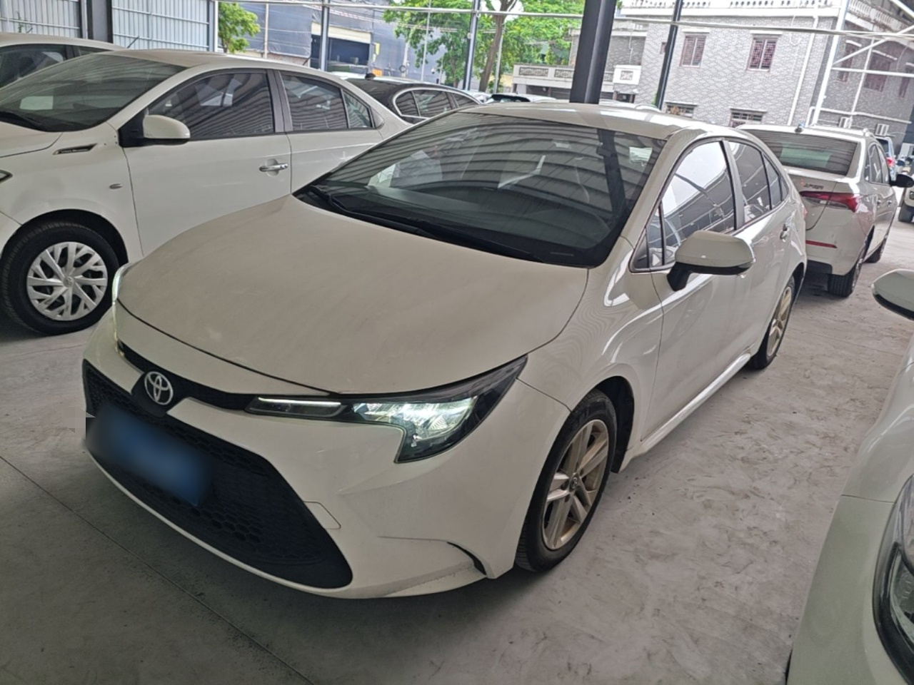Levin 2022 Facelift TNGA 1.5L CVT Progressive