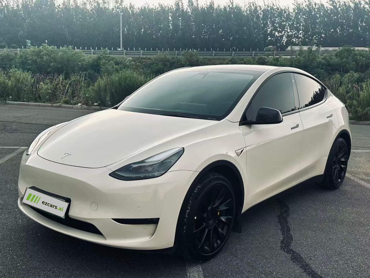 Model Y 2021 Standard Range RWD