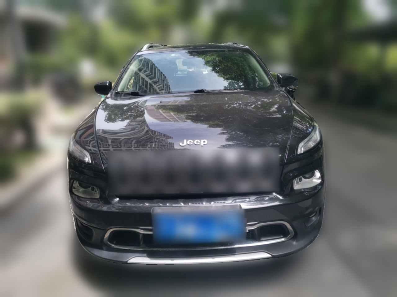 Cherokee 2019 2.0L RWD China V photo 2