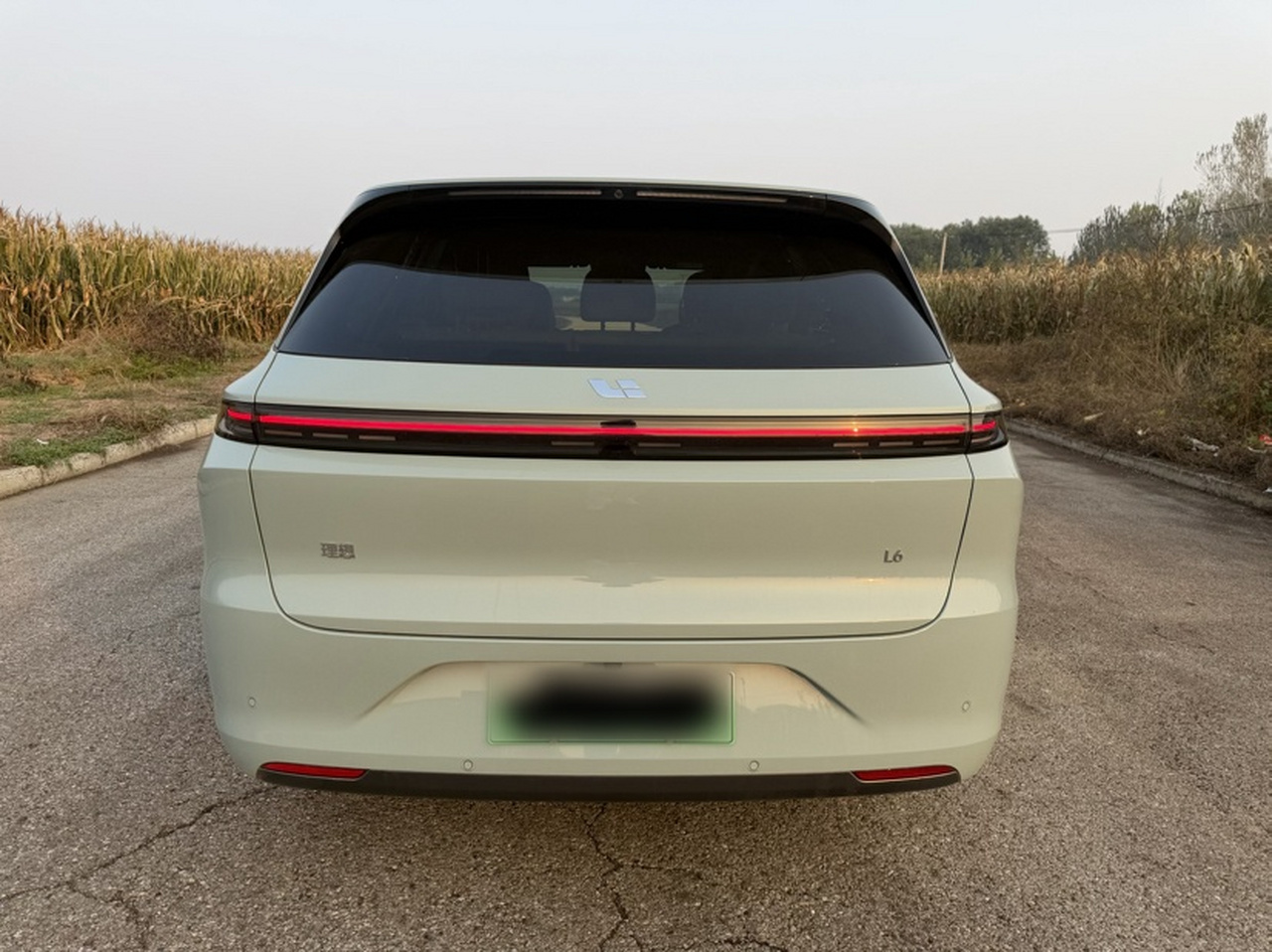 Li Auto L6 2025 Max Smart Refresh Edition photo 5