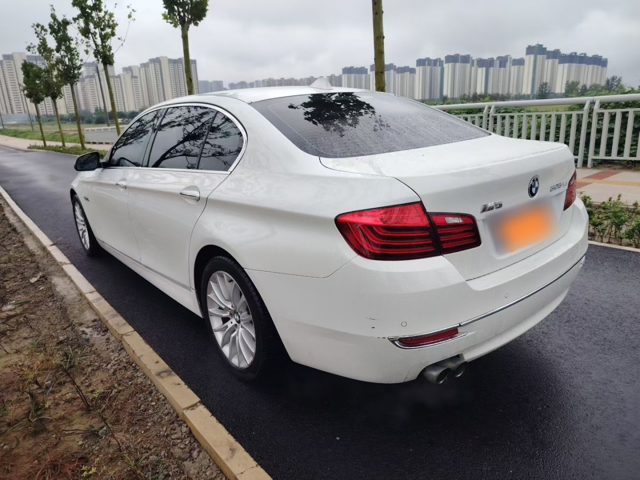 5 Series 2014 525Li Luxury Design Package photo 4