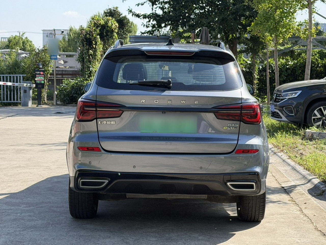 RX5 EV 2020 ePLUS Luxury photo 2