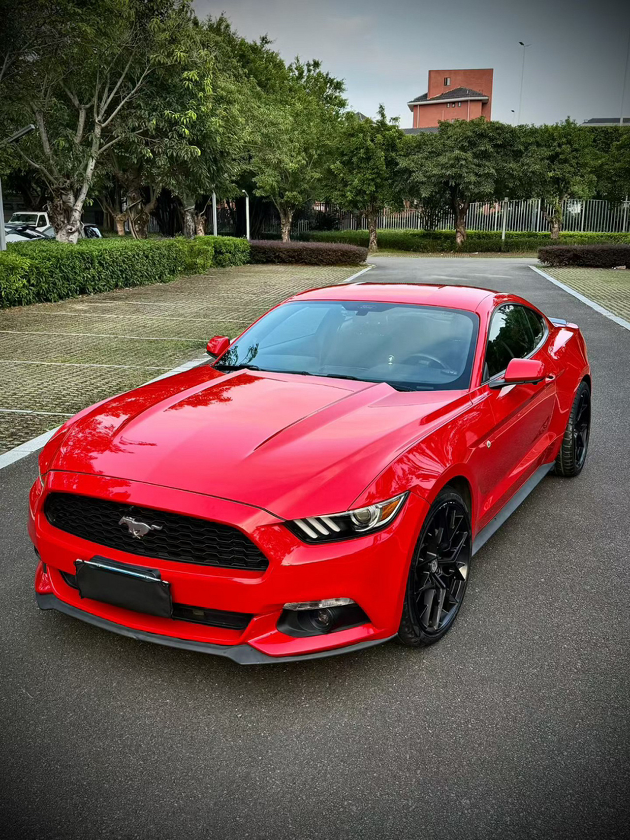 Mustang Parallel Import