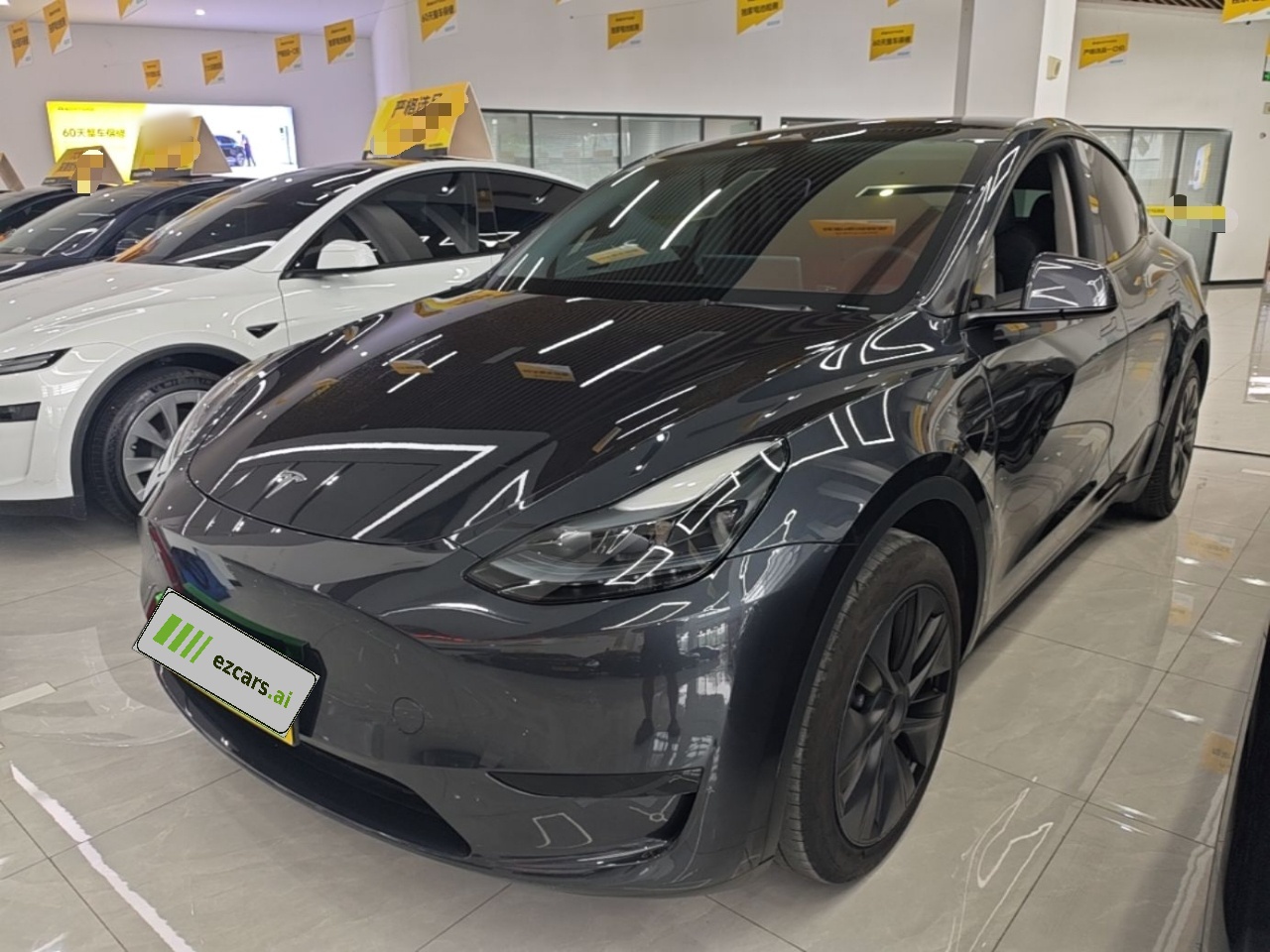 Model Y 2024 RWD