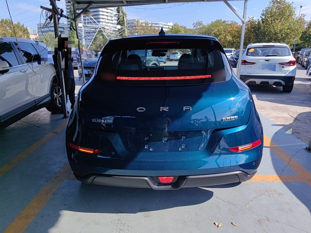 Good Cat 2021 400km Standard Range LFP photo 5