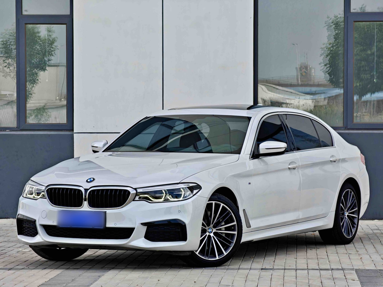 5 Series 2020 530Li Leading M Sport Package photo 4