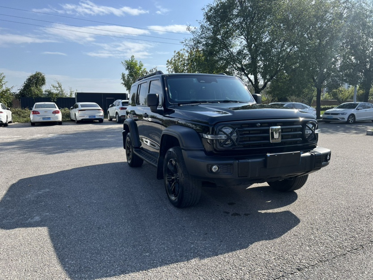 300 2023 Off-road 2.0T photo 4