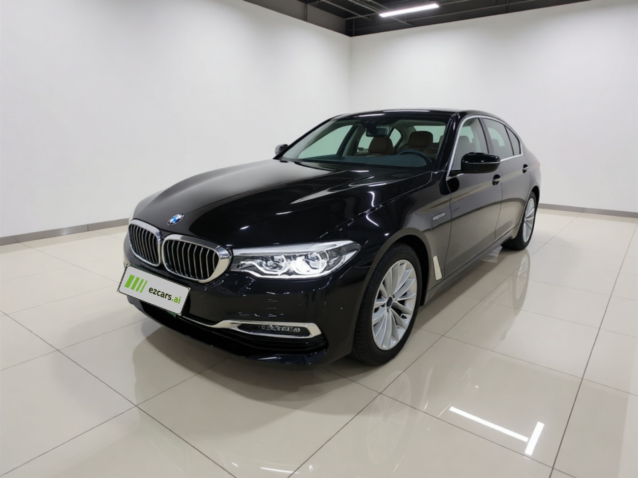 5 Series EV 2019 530Le