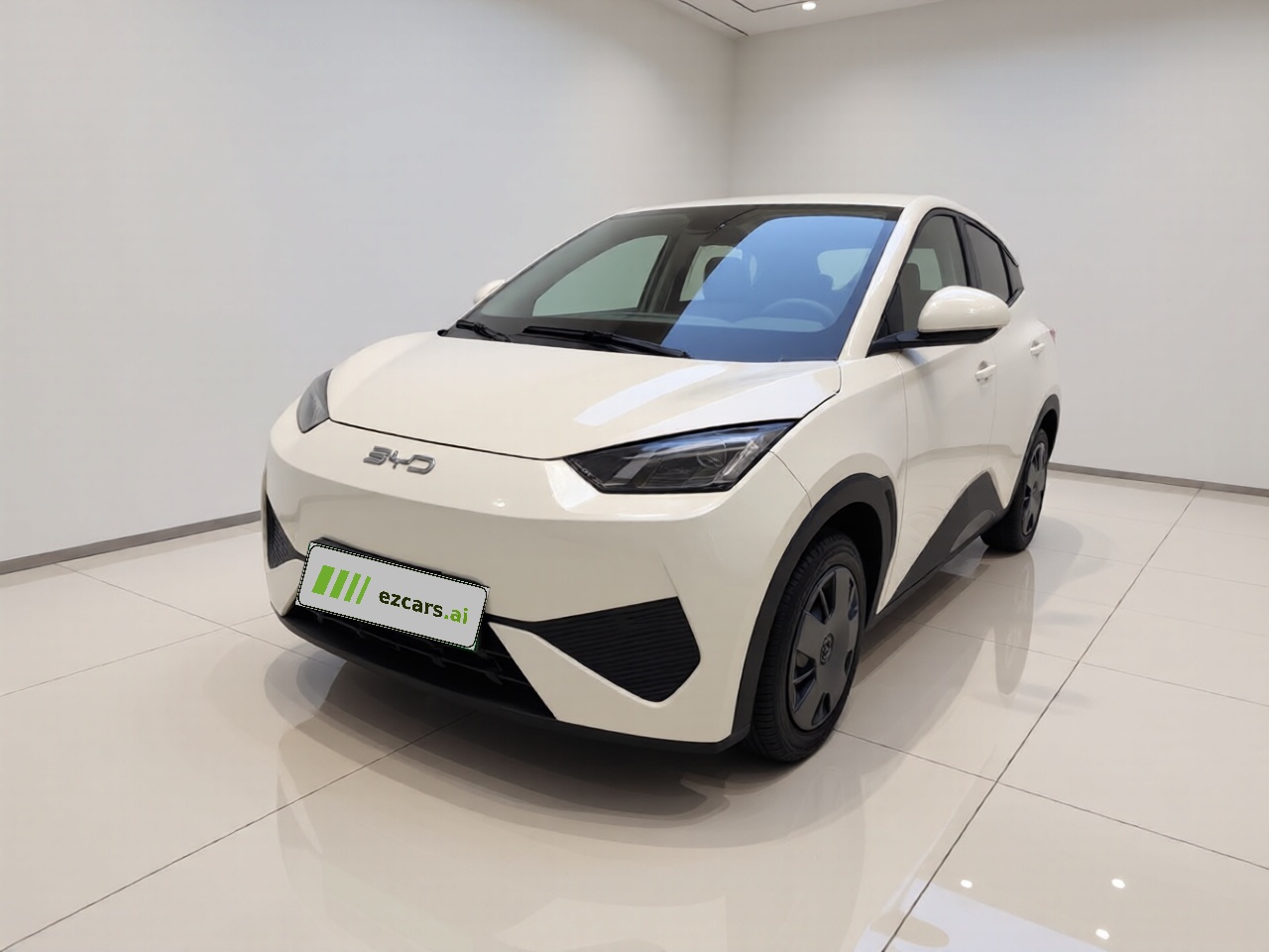 Seagull 2025 ADAS 305km