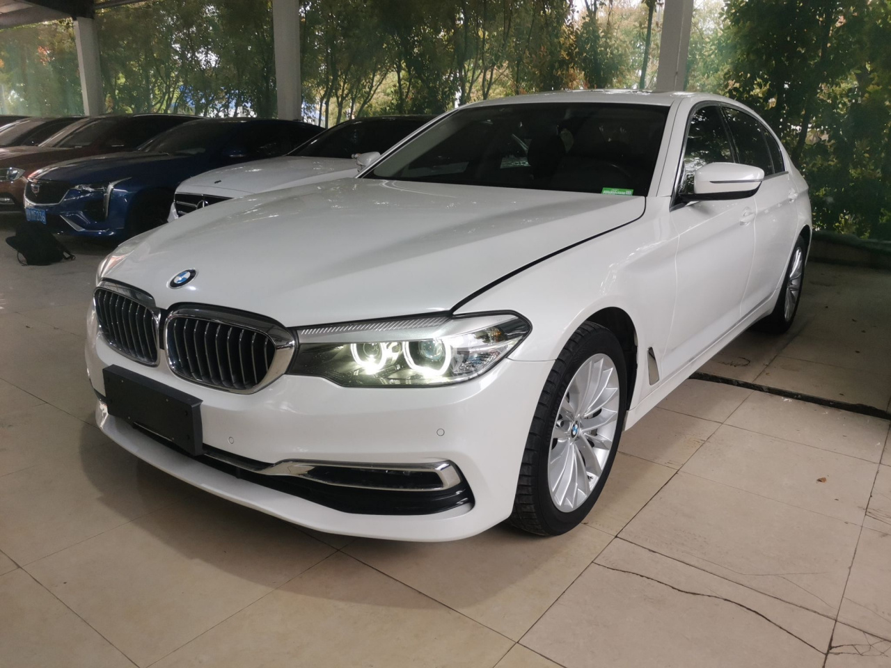 5 Series 2019 530Li Leading Luxury