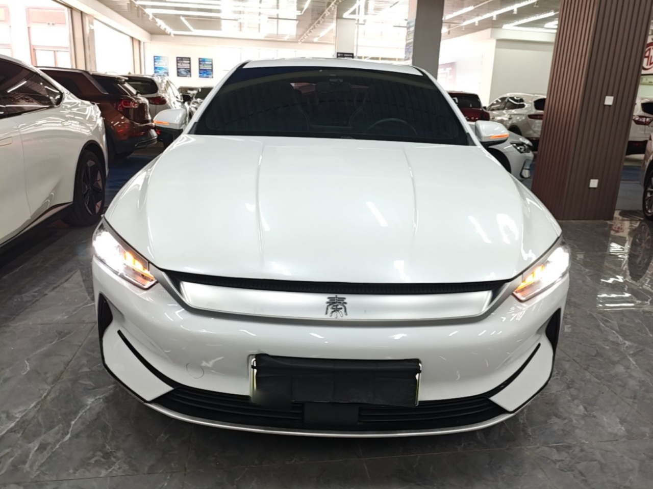 Qin PLUS 2021 EV 500KM Luxury photo 2