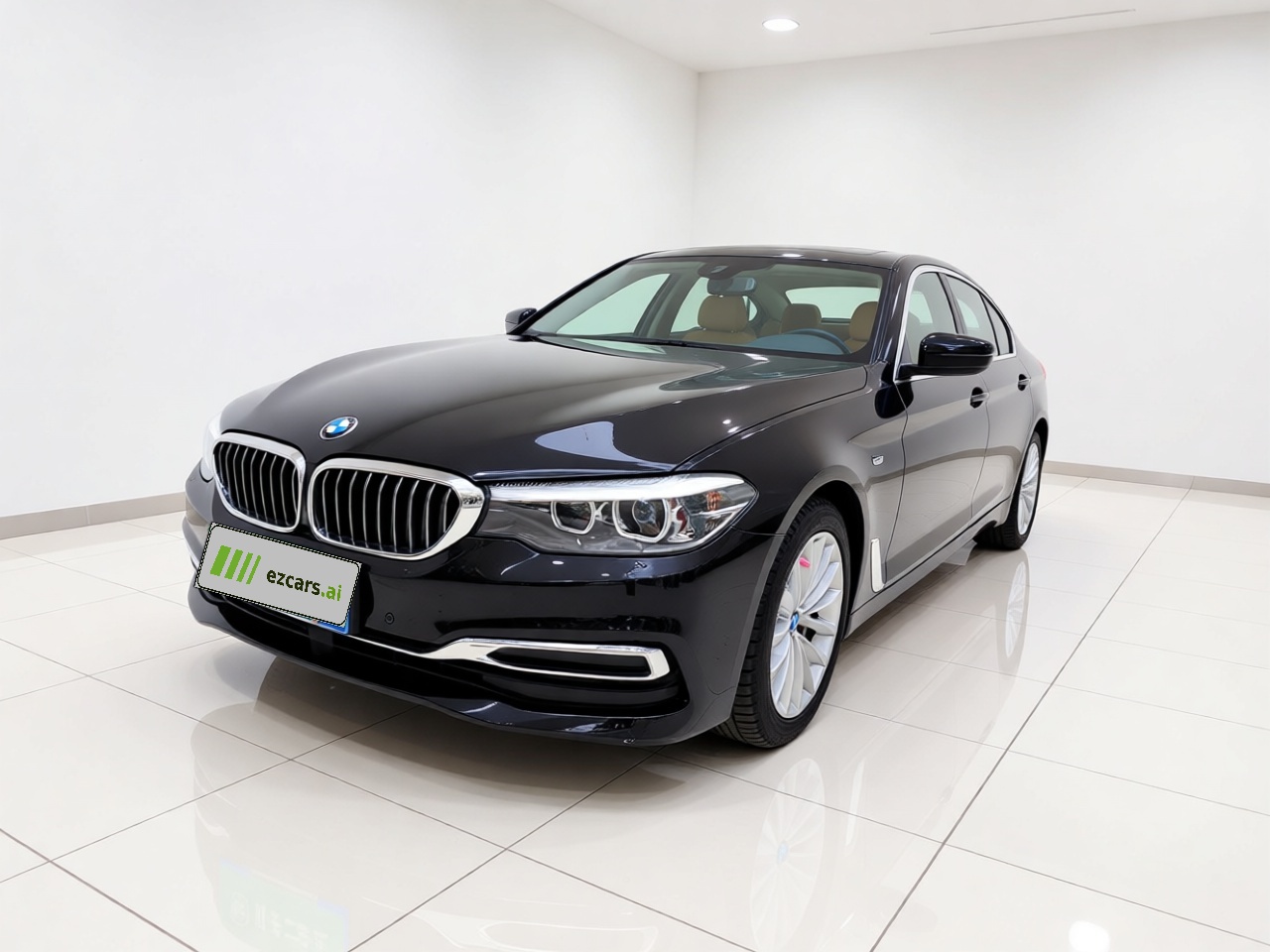5 Series 2019 Facelift 530Li Leading Luxury