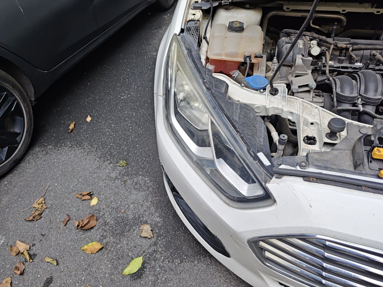 Escort 2015 1.5L MT Comfort photo 4