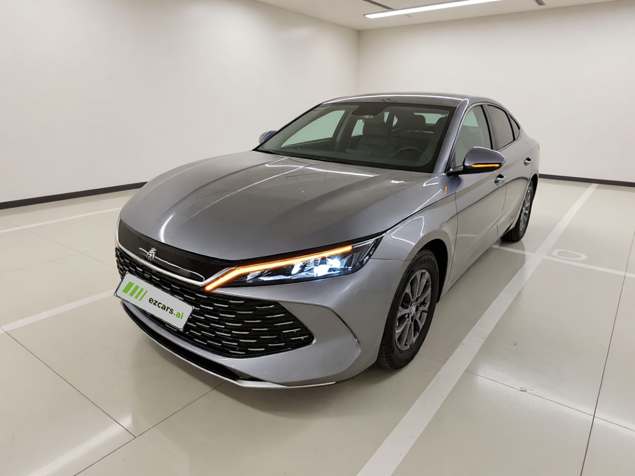 Qin L 2024 DM-i 80KM Leading