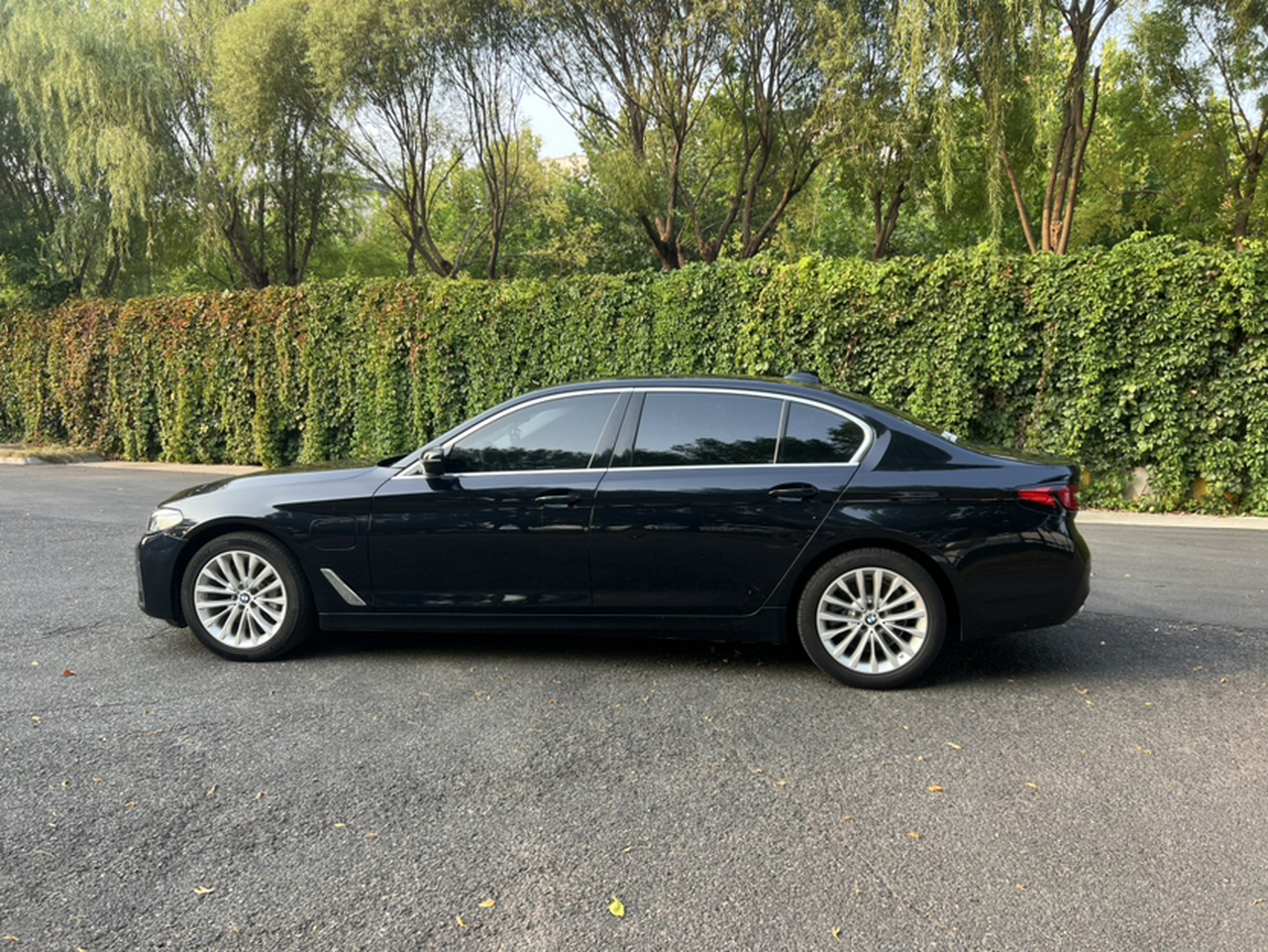 5 Series EV 2021 535Le Luxury photo 2
