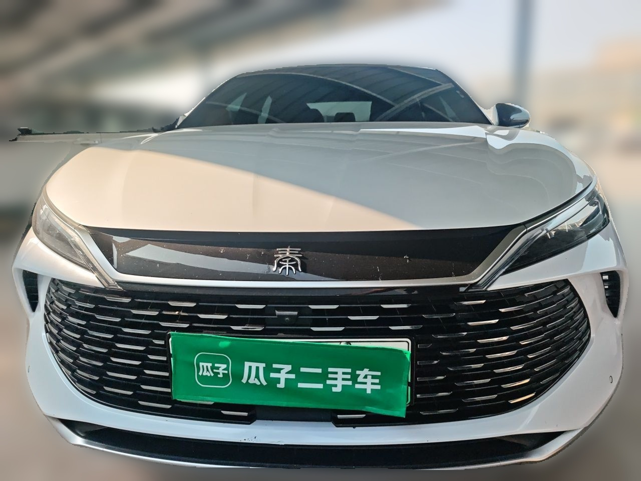 Qin L 2024 DM-i 120KM photo 2