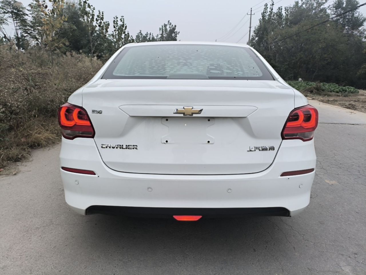 Cavalier 2018 320 AT photo 3