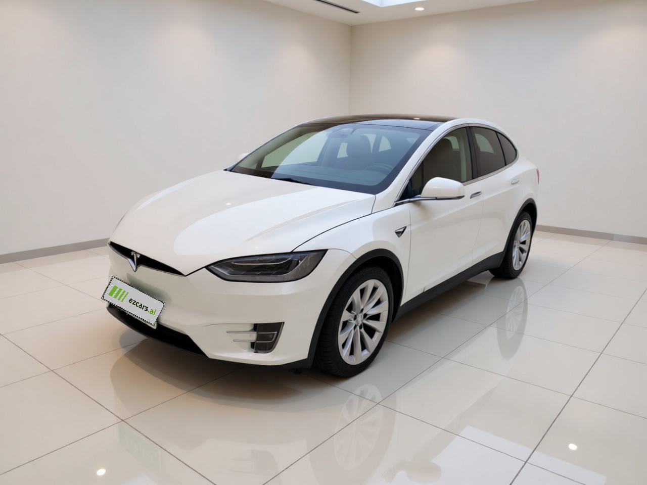 2017 Model X 100D Long Range