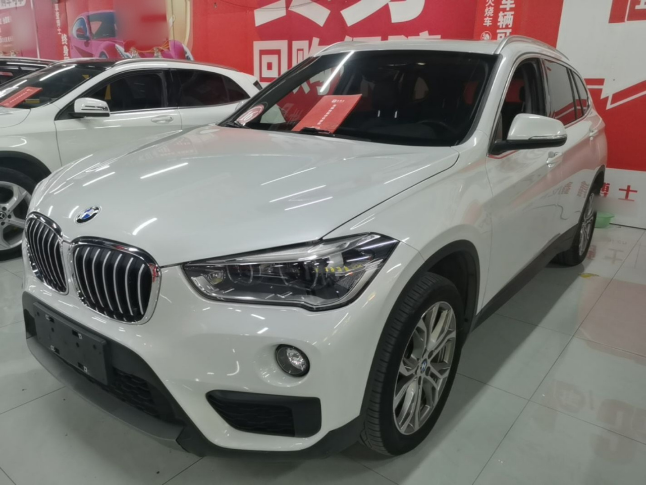 X1 2019 sDrive20Li Leading