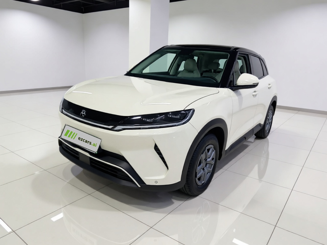 Yuan UP 2025 301KM Pilot