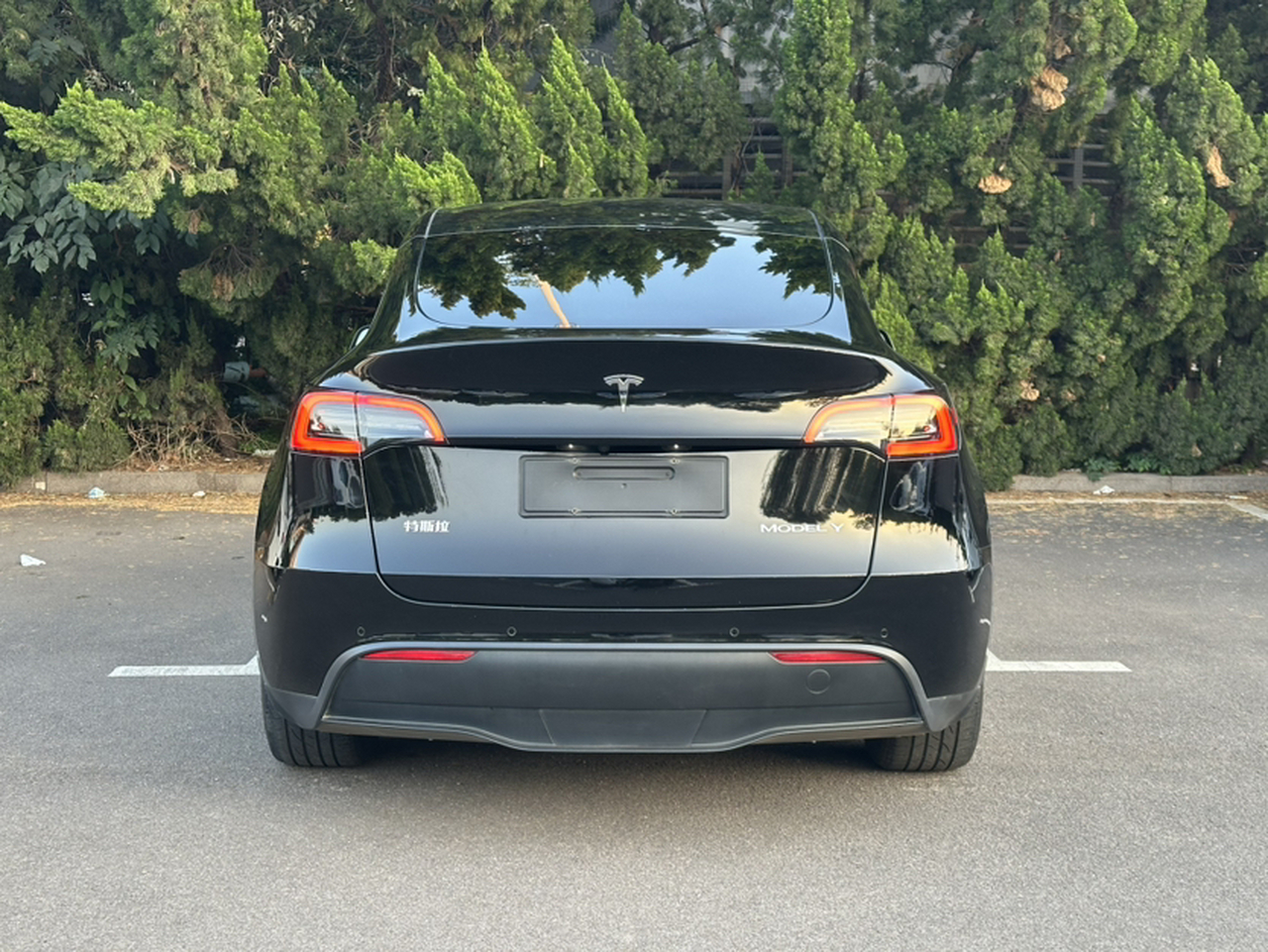 Model Y 2021 Standard Range RWD photo 4