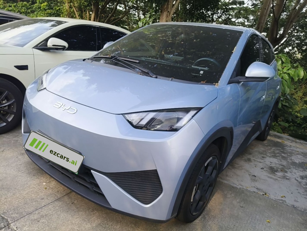 Seagull 2025 ADAS 405km