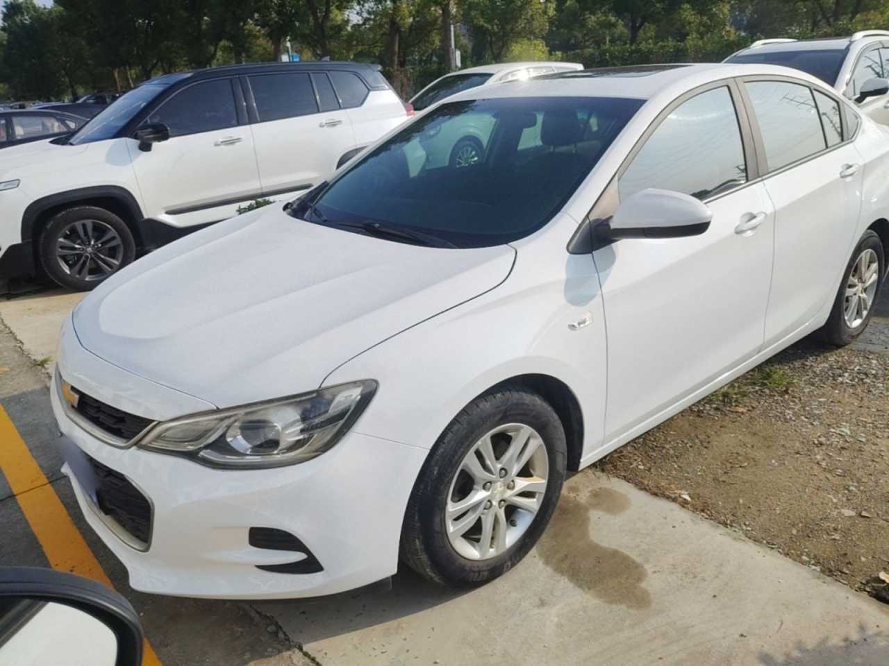 Cavalier 2019 320 AT
