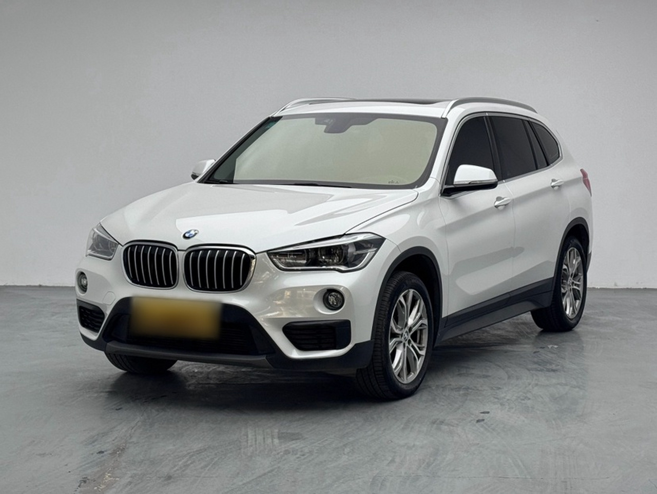 X1 2018 sDrive20Li Leading