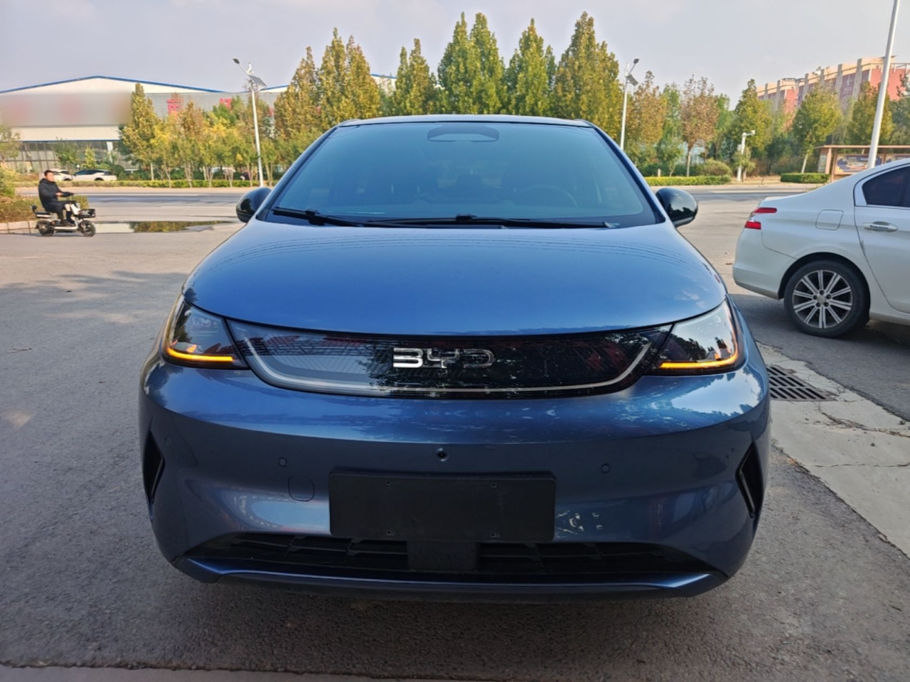 Dolphin 2025 ADAS 410km Fashion photo 2