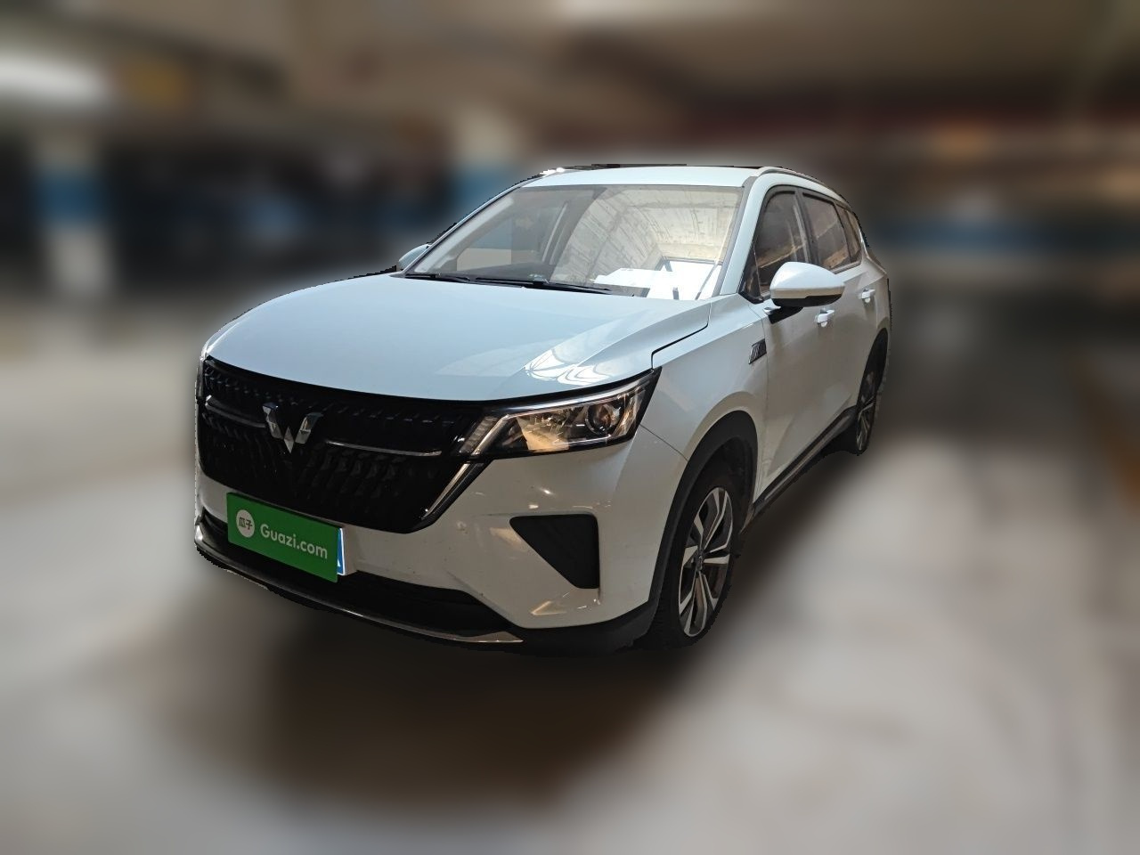 Wuling 2022 2.0L DHT
