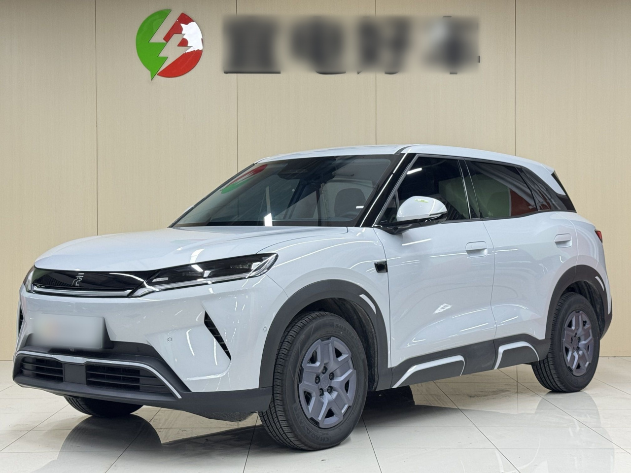 Yuan UP 2025 ADAS 401KM
