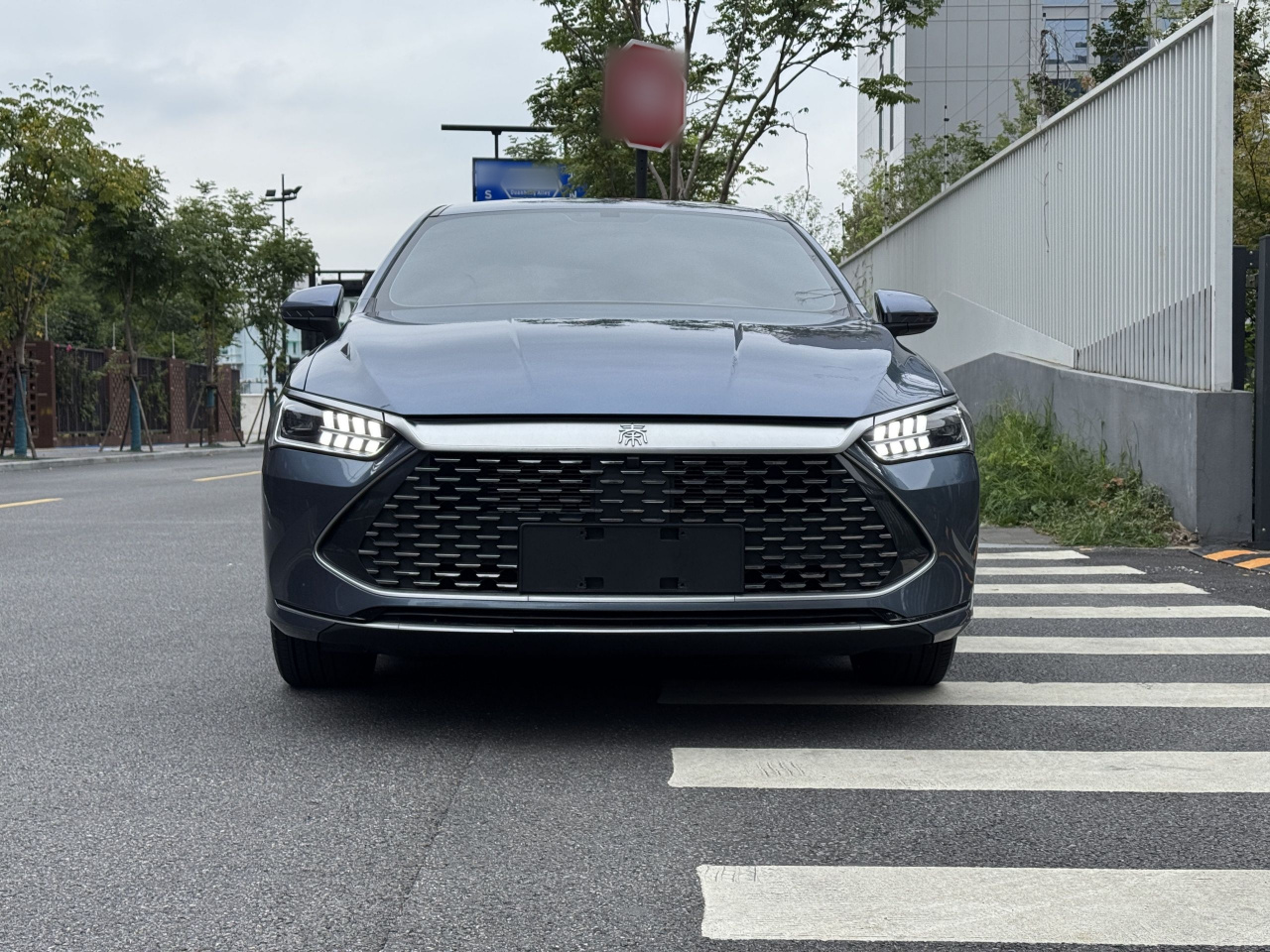 Qin PLUS 2024 Honor DM-i 55KM Leading photo 2