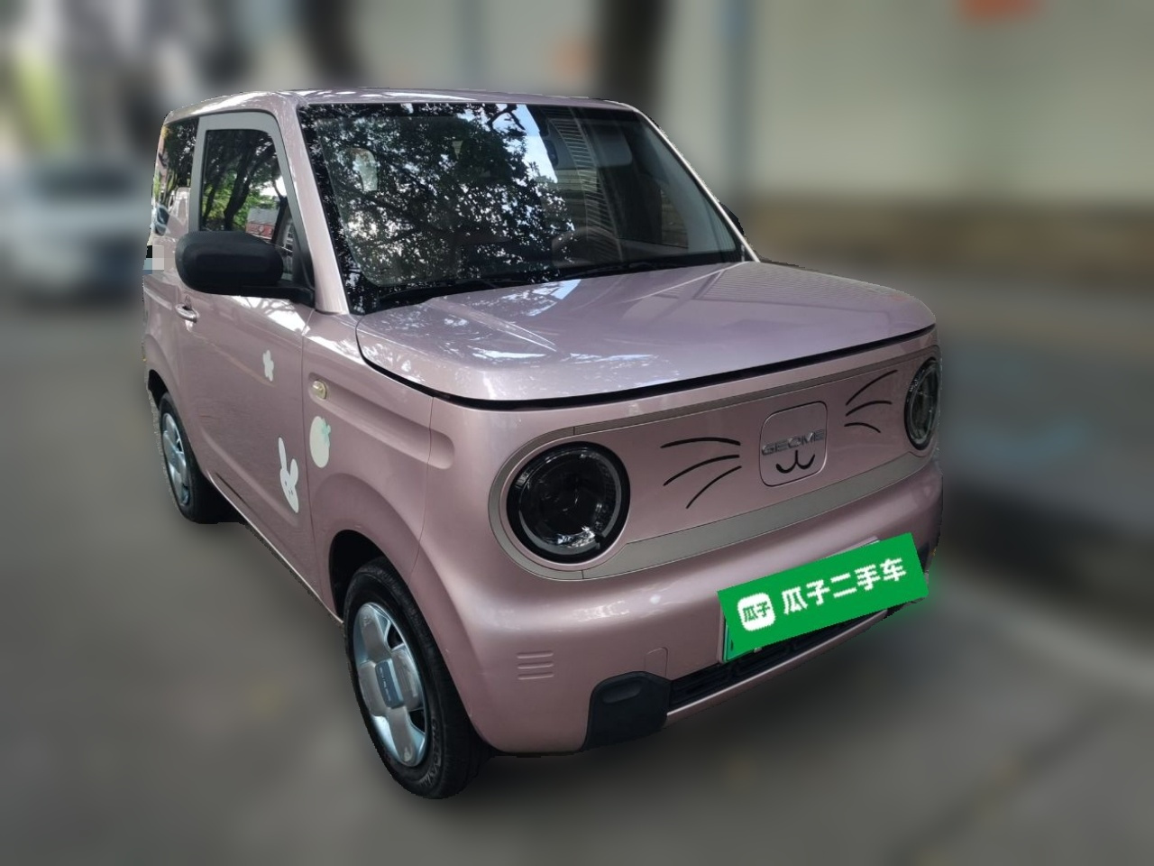 2023 Panda mini 200km Endurance Bear photo 3