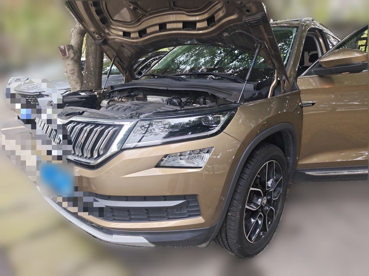 Kodiaq 2020 TSI330 7-Seater RWD Luxury Preferred