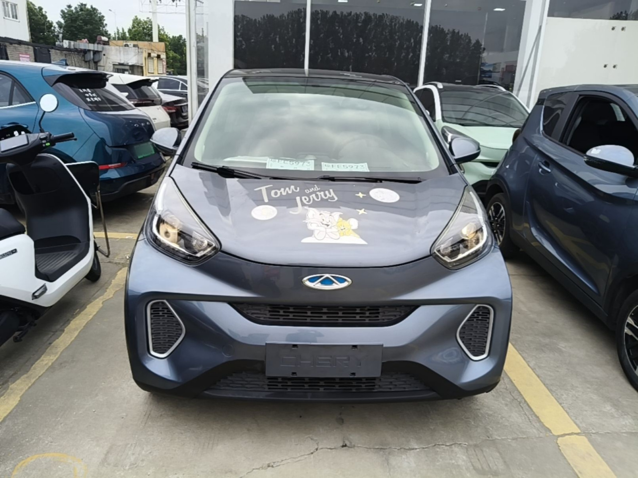QQ Little Ant 2021 15 LFP photo 2