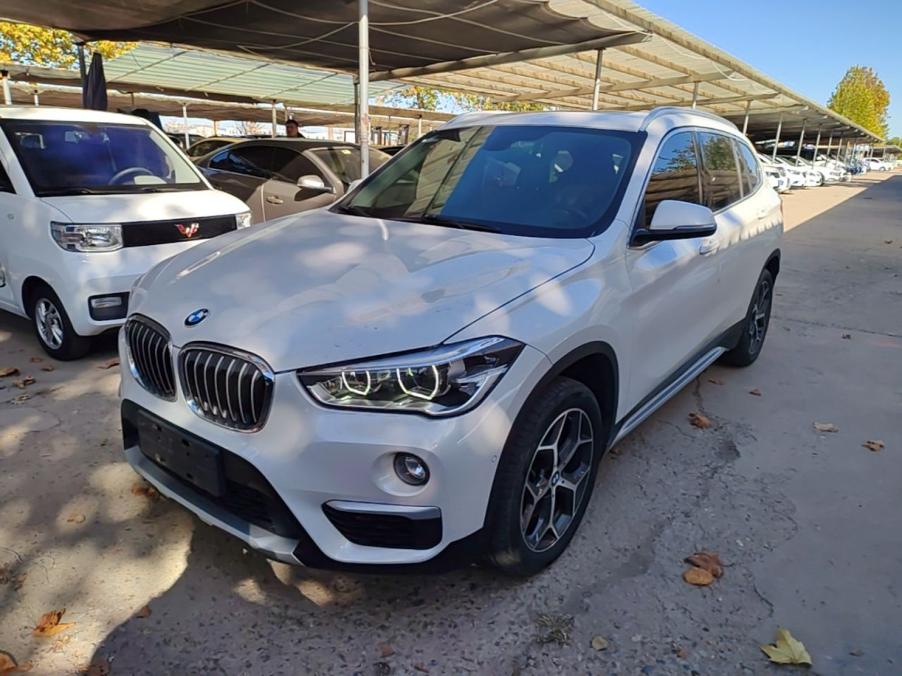 X1 2019 xDrive20Li Exclusive