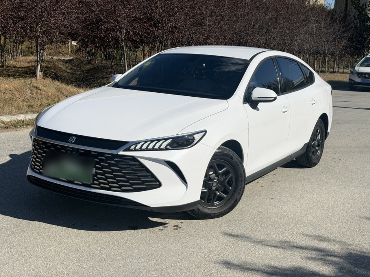 Qin PLUS 2025 DM-i ADAS 55KM Leading