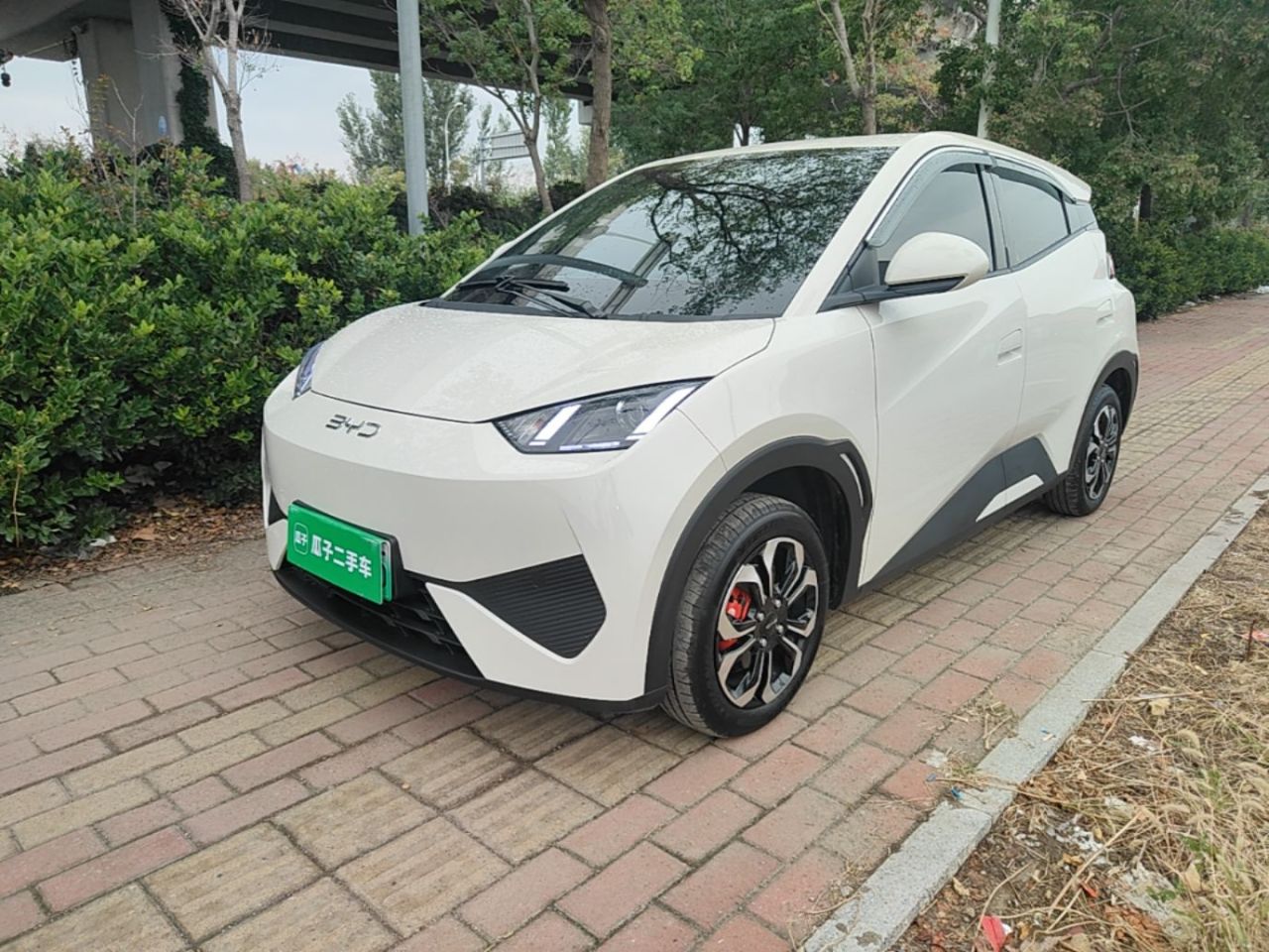 Seagull 2025 ADAS 305km