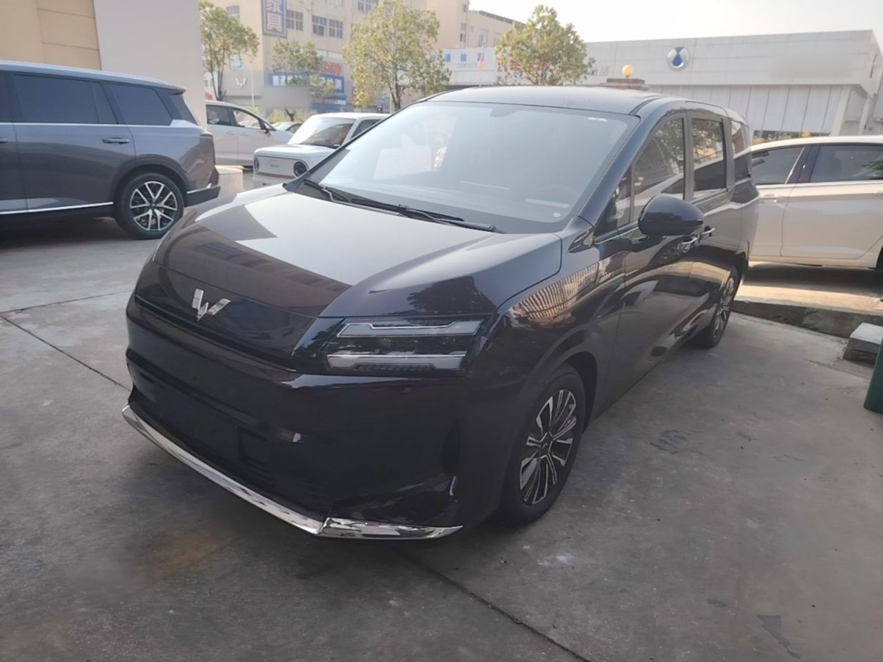 730 EV 2025 EV 500km Luxury