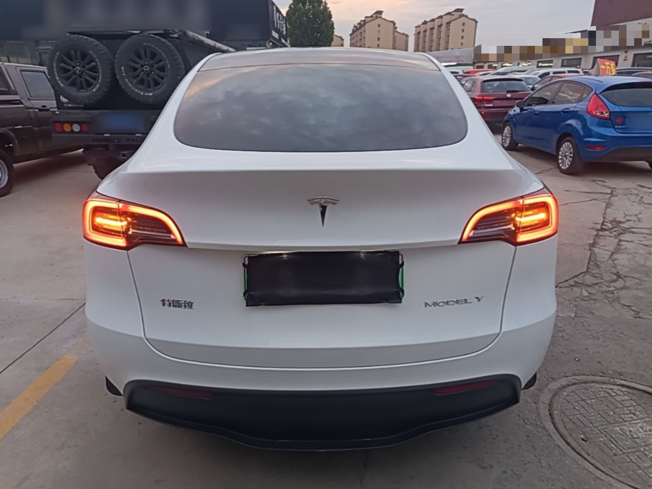 Model Y 2024 RWD photo 3