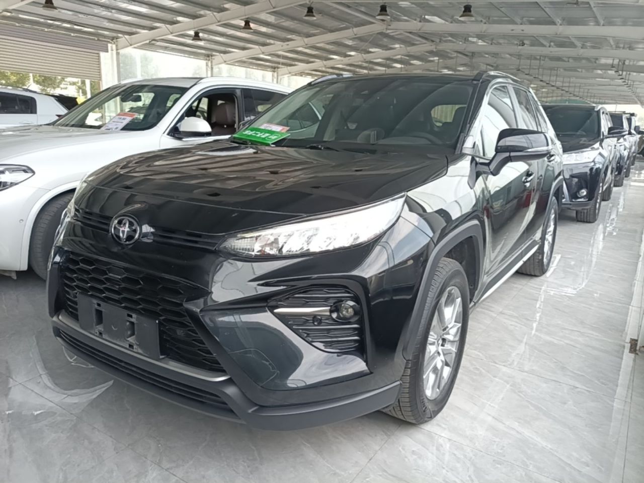Wildlander 2021 2.0L CVT RWD Luxury