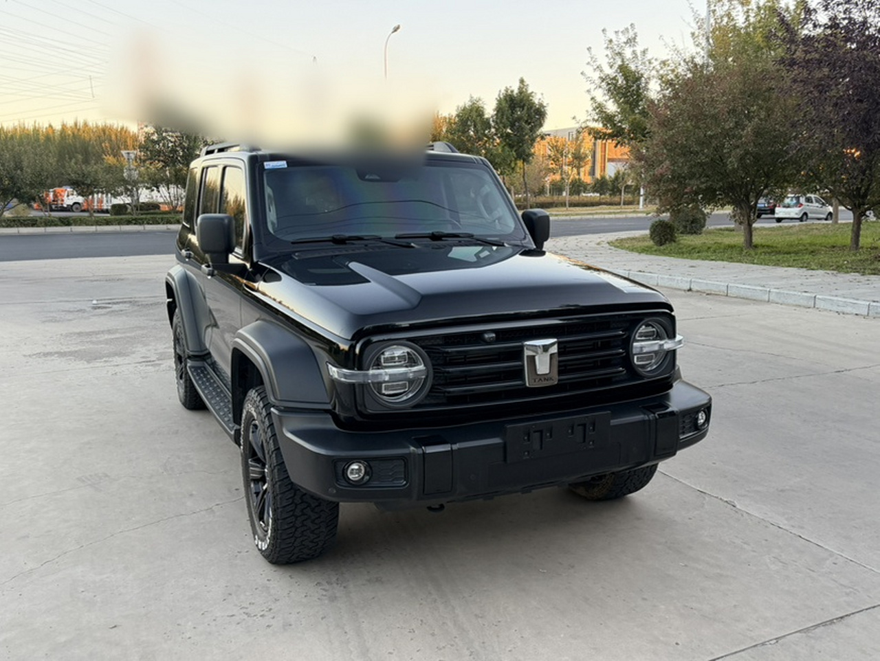 300 2021 Off-road 2.0T Conqueror photo 3