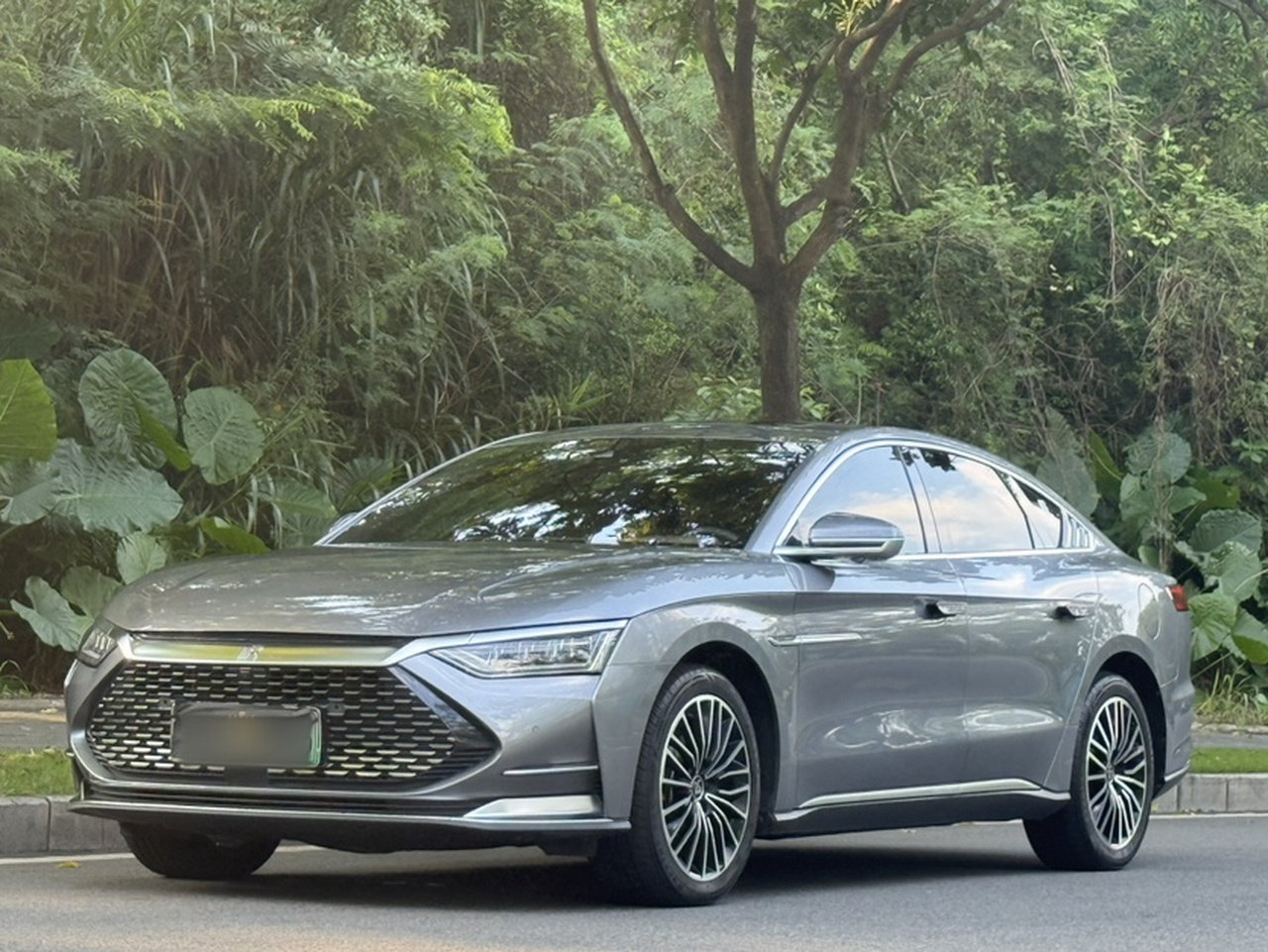 Han 2020 DM AWD Performance Luxury