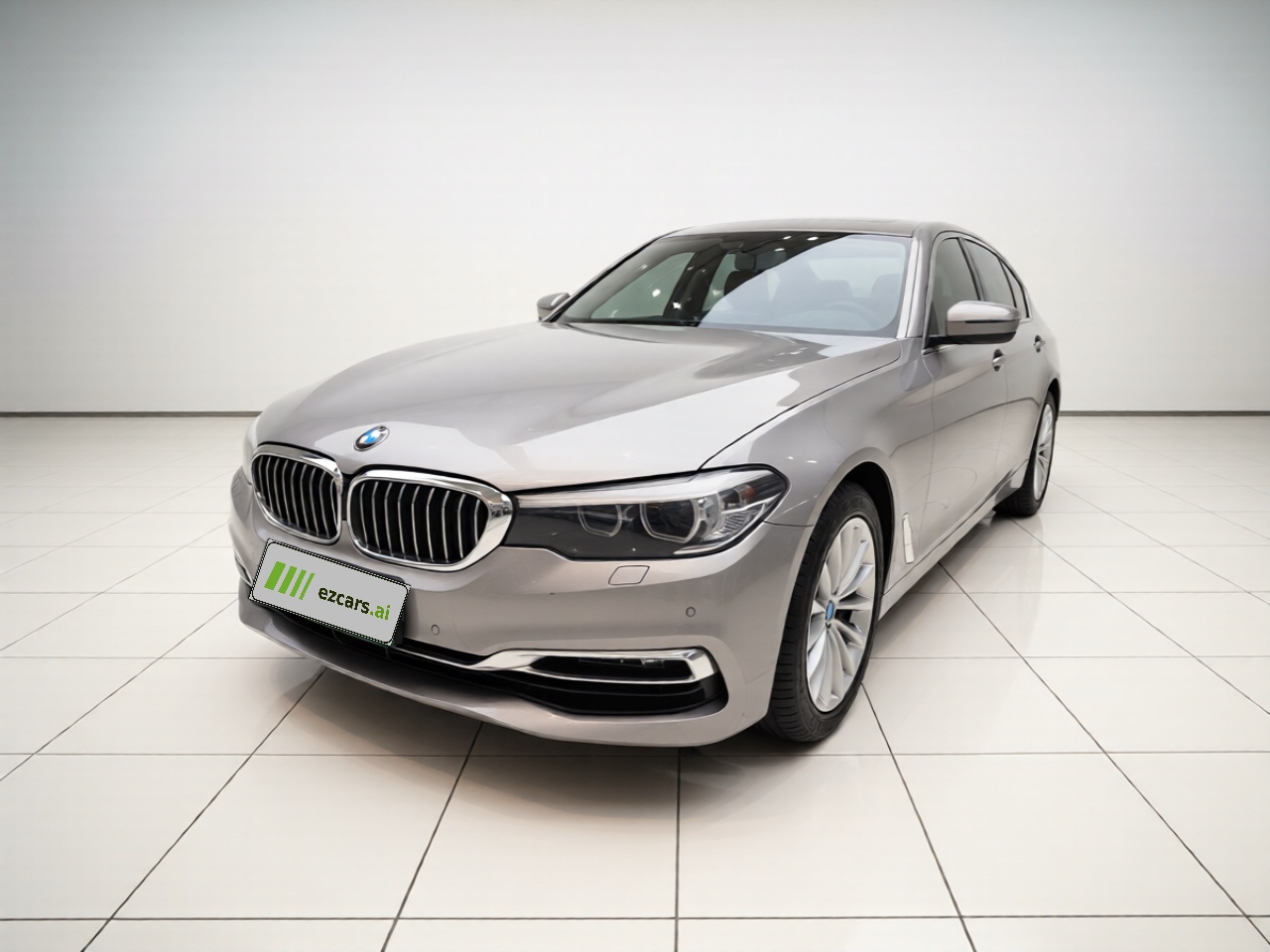 5 Series 2019 530Li Leading Luxury